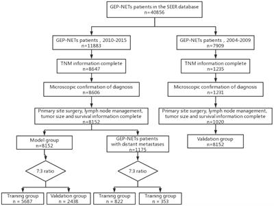 Risk factors, prognostic factors, and nomograms for distant metastases in patients with gastroenteropancreatic neuroendocrine tumors: a population-based study